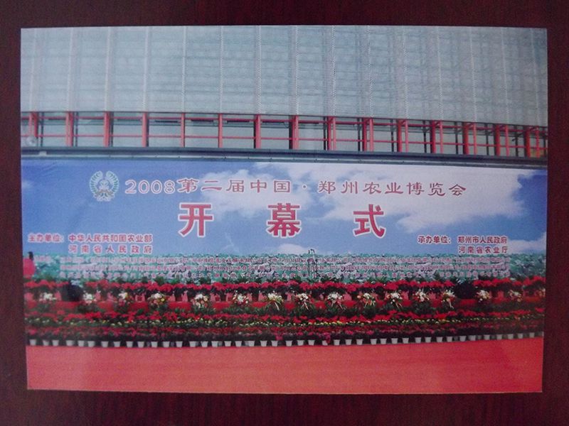 廠區實力